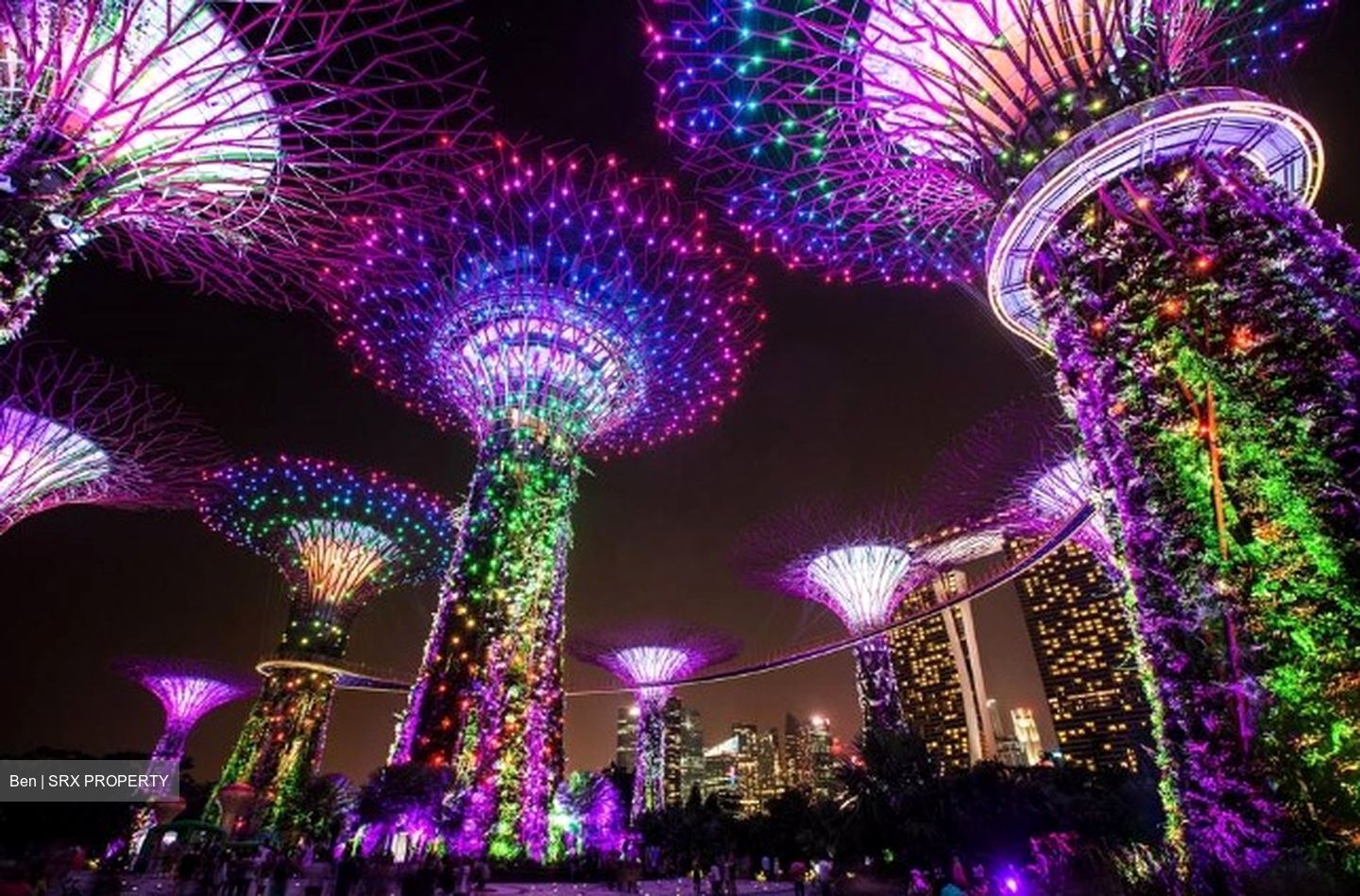 Marina Bay Residences (D1), Condominium #583299221
